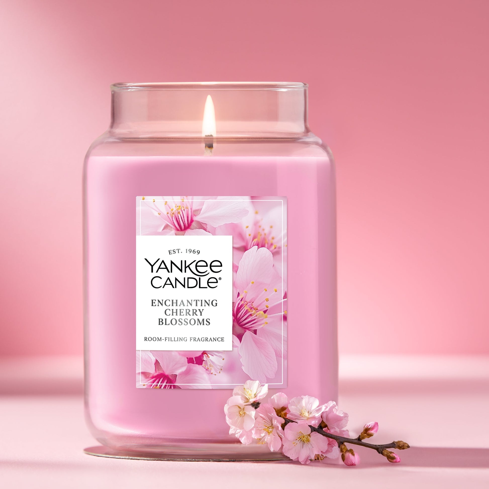 Enchanting Cherry Blossoms