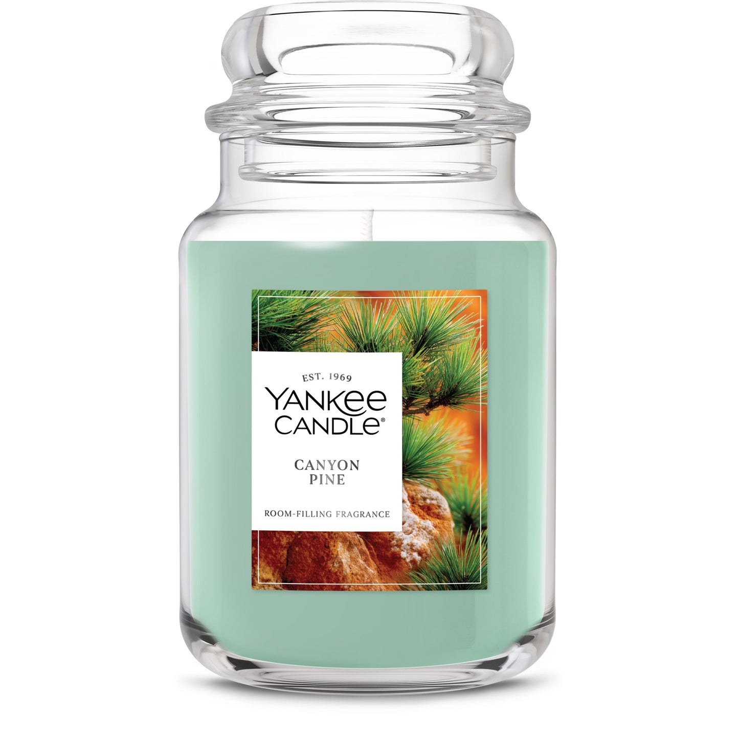 Canyon Pine Daily 5-0843