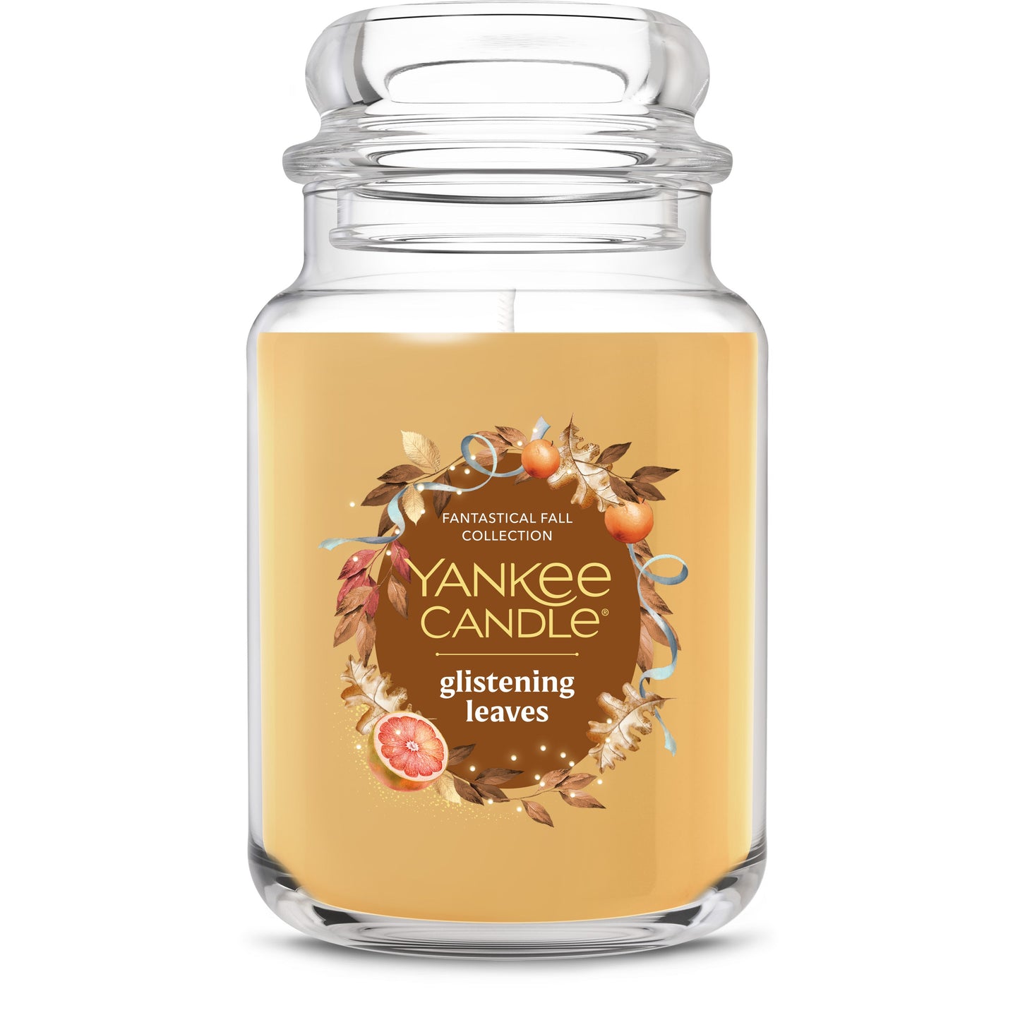 Glistening Leaves Daily 5-0833