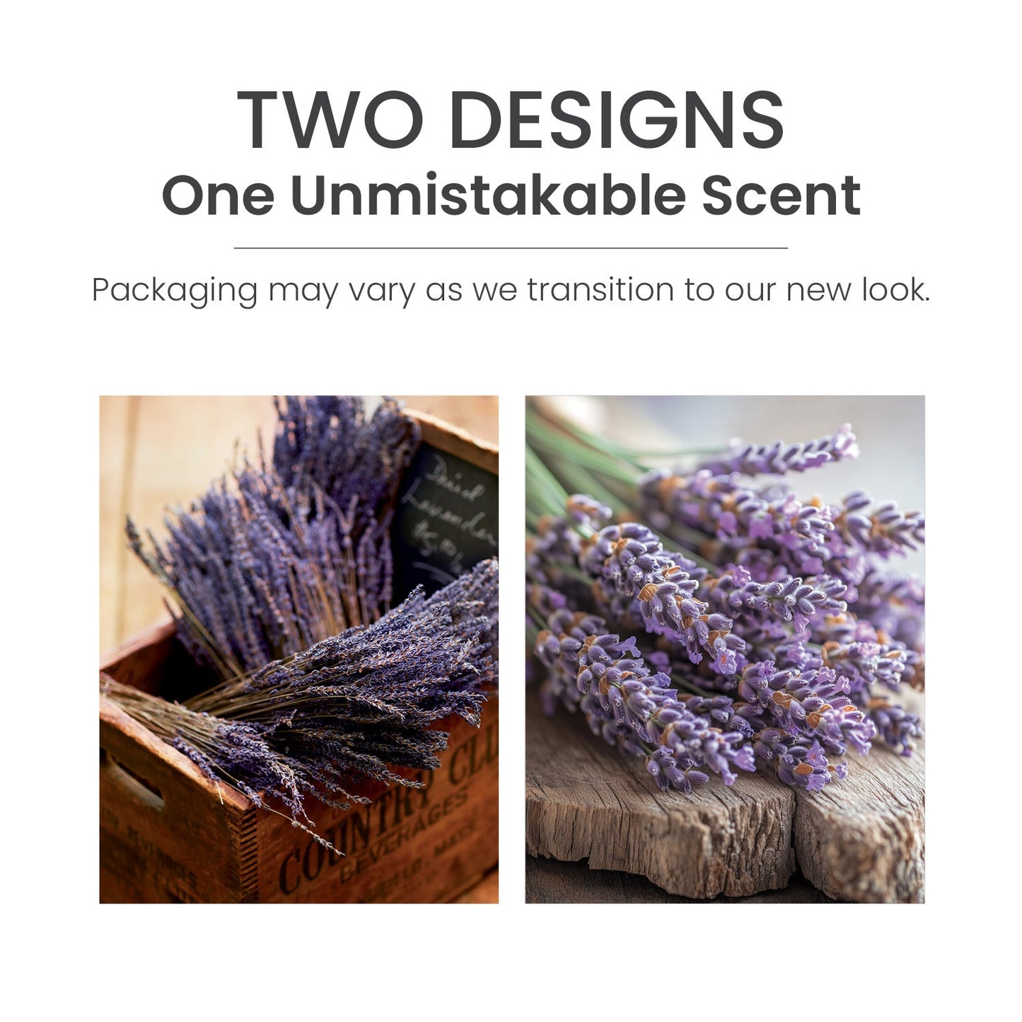 Dried Lavender & Oak
